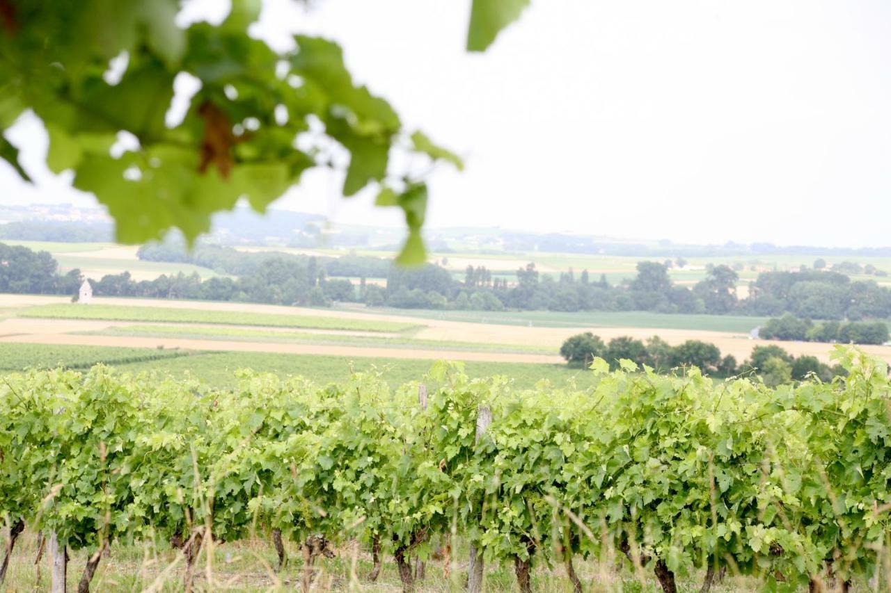 לינה וארוחת בוקר Archiac Au Coeur Des Vignes מראה חיצוני תמונה